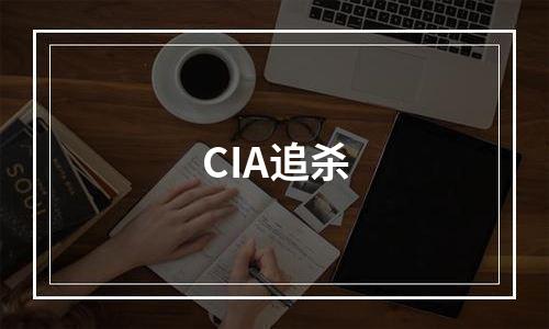 CIA追杀
