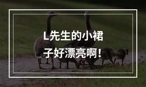 L先生的小裙子好漂亮啊！