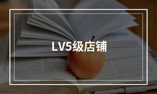 LV5级店铺
