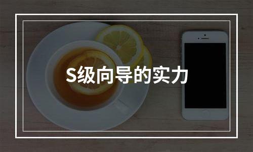 S级向导的实力