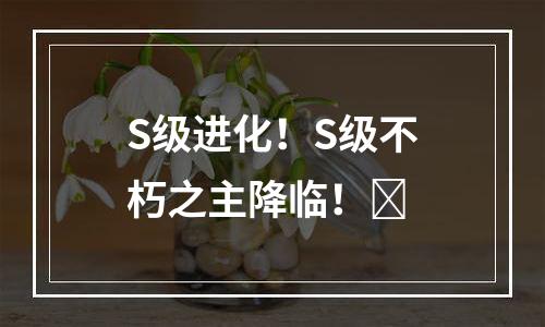 S级进化！S级不朽之主降临！​