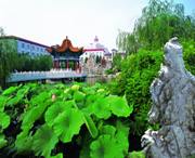 津南天气预报7天