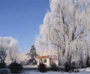 尚志天气预报7天