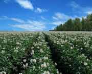 克山天气预报7天