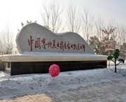 绥化天气预报10天