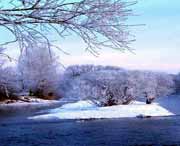 逊克天气预报10天