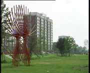 铁力天气预报7天