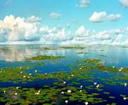 宝清天气预报10天