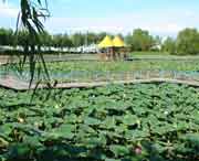 德惠天气预报60天