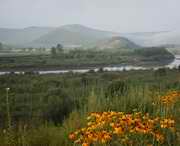 敦化天气预报40天