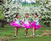 龙井天气预报40天