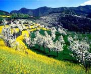 淳化天气预报60天