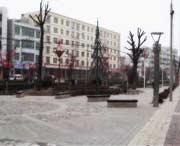 长武天气预报60天