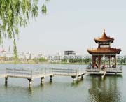 曹县天气预报10天