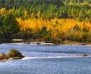 贵德天气预报40天