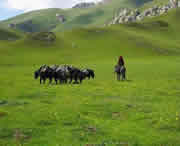 甘南州今天天气