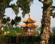 长葛天气预报10天