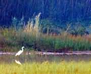 孟津天气预报60天