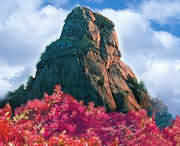 汝阳天气预报60天