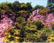 遂平天气预报10天