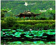 蔡甸天气预报7天