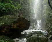 广水天气预报40天