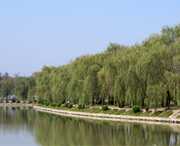 阜南天气预报7天