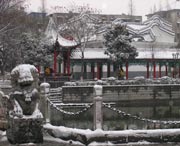 太和天气预报7天