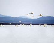 东至天气预报60天