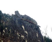 松溪天气预报40天