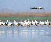 新建天气预报7天