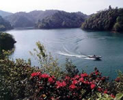 长顺天气预报40天