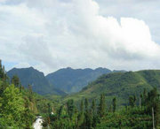 屏边天气预报15天