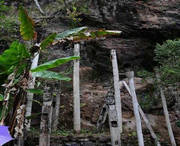 西盟天气预报60天