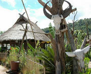 沧源天气预报60天