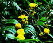 防城天气预报40天